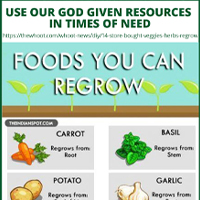 regrow-foods